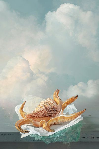 Still life 'Between heaven and earth VII' by Willy Sengers