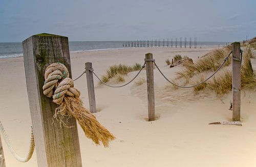 The beach at Cape North, Texel