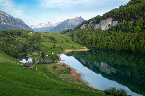 Seeli in Seelisberg