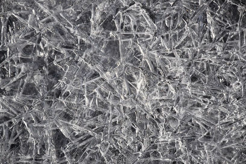 Frost on a roller, Canada by Claude Laprise