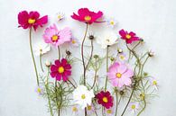 Blumenporträt (Kosmetikerin) von Ineke VJ Miniaturansicht