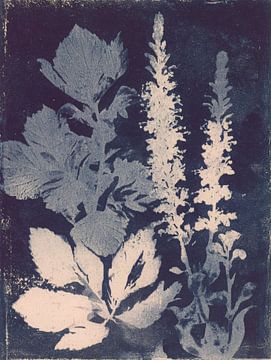 Blauwe botanische afdruk – poëtische natuurstudie in licht en schaduw