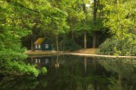 Fishing house at trout pond by Moetwil en van Dijk - Fotografie thumbnail