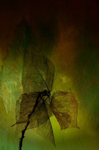 Still life of leaves