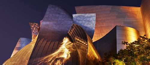 Walt Disney Concert Hall - Light Dancer