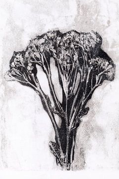 Schwarze Blume im Retro-Stil. Moderne botanische minimalistische Kunst in Schwarz und Weiß. von Dina Dankers