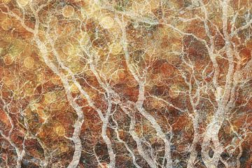 Bokeh Forêt sur Yanuschka | Fotografie Noordwijk