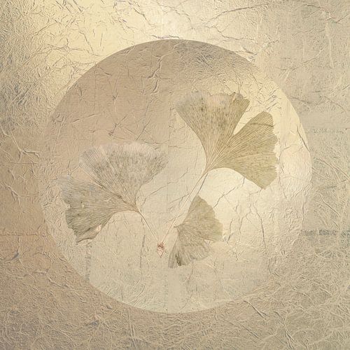 Ginkgo. Veilig in een bubbel. 1