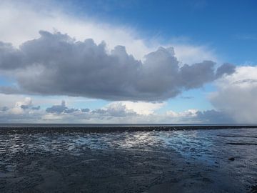 Air and water of the Wadden Sea
