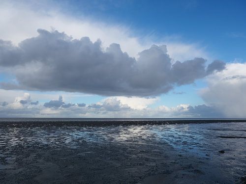 Air and water of the Wadden Sea