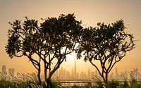 Skyline von Dubai mit einem wunderschönen Sonnenuntergang hinter einem Baum von Jeroen Kleiberg Miniaturansicht