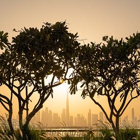 Uitzicht bij zonsondergang op de skyline van Dubai van Jeroen Kleiberg