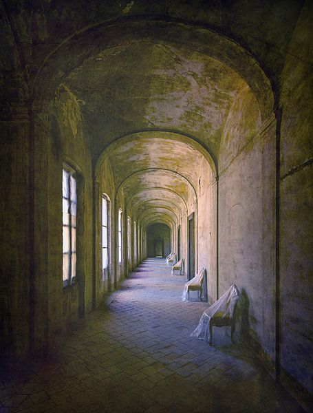 The dilapidated golden corridor by Frans Nijland