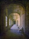 The dilapidated golden corridor by Frans Nijland thumbnail