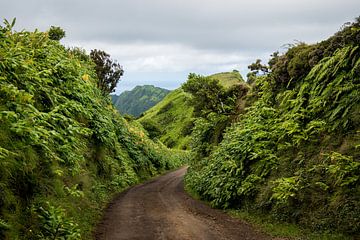 Boca do Inferno, São Miguel, Azores, Portugal 2 van Ellis Peeters