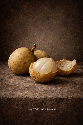 Langsat. Lansium domesticum – Klassiek Botanisch Stilleven