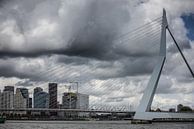 Ein Besuch in Rotterdam von denk web Miniaturansicht