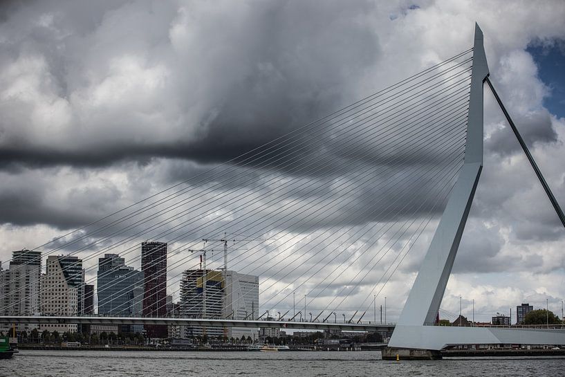 Ein Besuch in Rotterdam von denk web