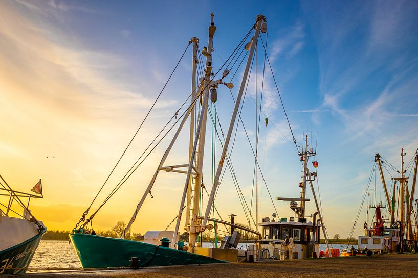 Nationaal Park Lauwersmeer van Johan Mooibroek