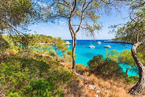 Idyllische Bucht mit Luxusyachten am Meer auf der Insel Mallorca, Spanien