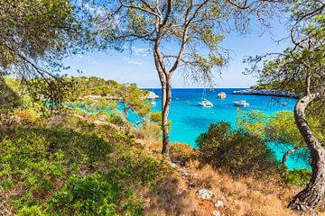 Idyllische baai met luxe jachten boten aan de kust op het eiland Mallorca, Spanje van Alex Winter