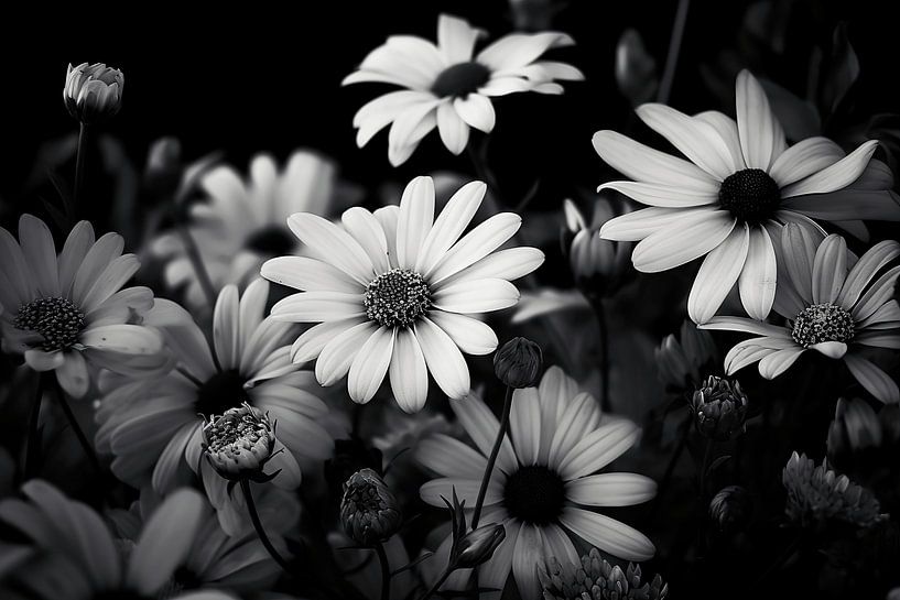 Monochrom Blumen von NJ Midnight Studio