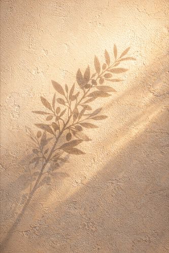 Golden Hour Olive Branch Shadow Canvas - Minimalistische botanische wanddecoratie - Neutrale gipswandprint