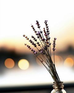 Formen der Ruhe