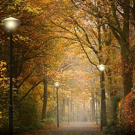 Autumn path by Kees van Dongen