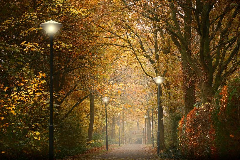 Chemin d'automne par Kees van Dongen
