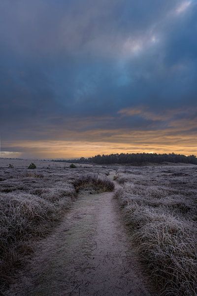 Footpath in the dunes by Rob Rollenberg