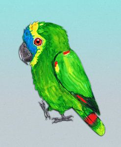 Blauer Stirndamazon-Papagei