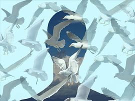 Symbiosis 2 by C.z. de Jong