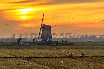 Dutch winter sunset van Costas Ganasos