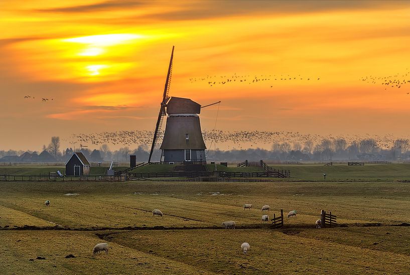 Dutch winter sunset par Costas Ganasos