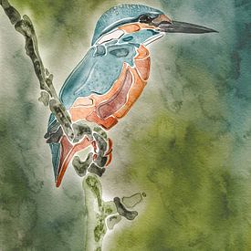 Eisvogel von AnkieArt