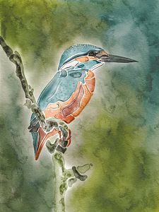 Eisvogel