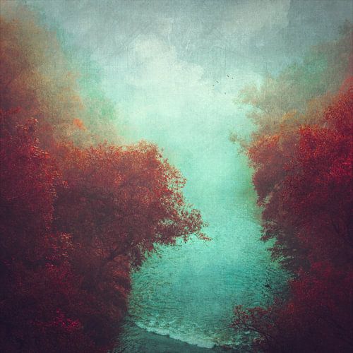 Herbstbäume am Fluss