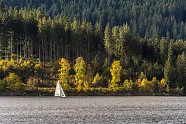 Segelboot auf dem Schluchsee von Conny Pokorny