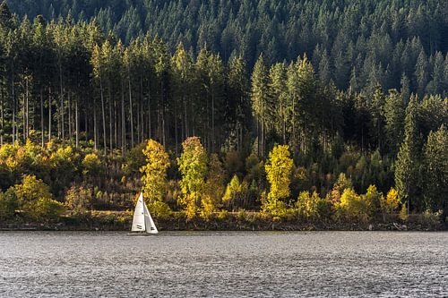 Zeilboot op de Schluchsee