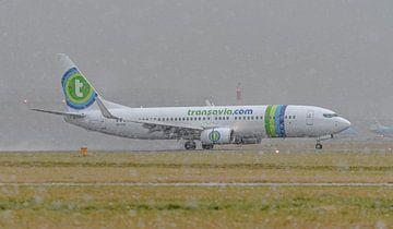 Transavia Boeing 737-800 landt tijdens sneeuwbui. van Jaap van den Berg