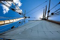Wind im Segel