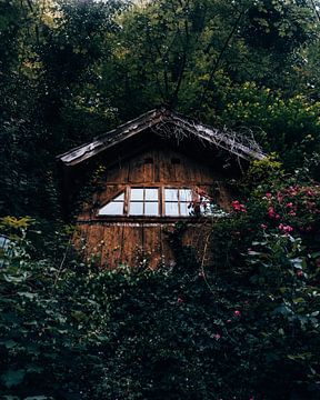 Schuur, Tiny House, Urban explore in Hallstatt Oostenrijk van Marion Stoffels