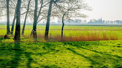 Landschap bij Huins/Lions, Friesland, Nederland.