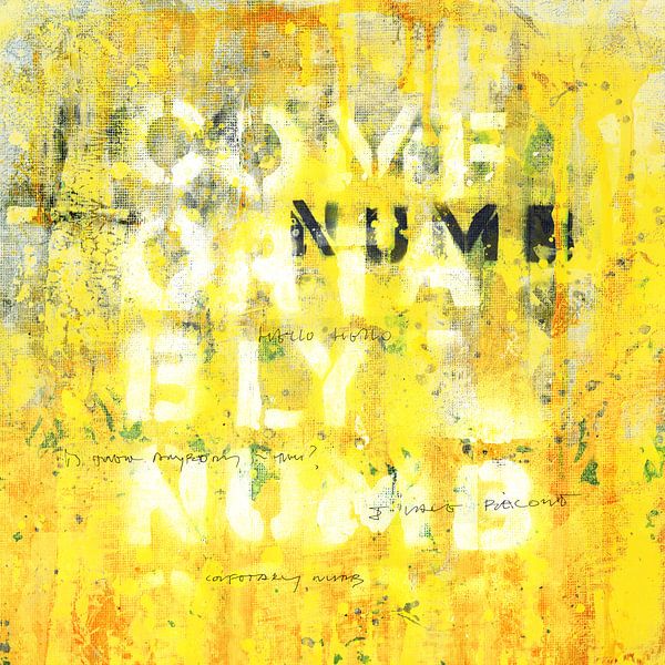 Comfortably Numb van Feike Kloostra