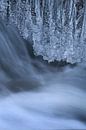 Flowing water and ice crystals along a stream in Norway by Jos Pannekoek thumbnail