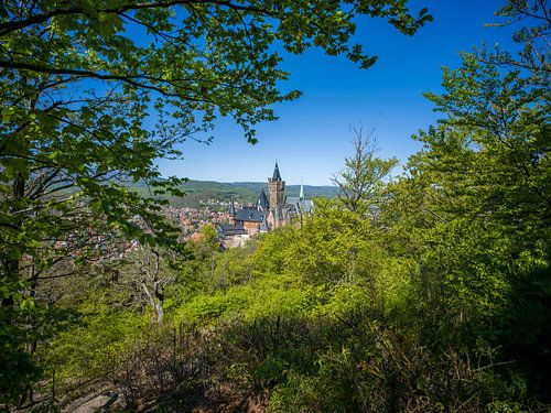 Wernigerode - Blick auf Schloss und Stadt