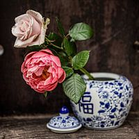 Still life peony
