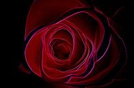 Red Rose van De Rover thumbnail