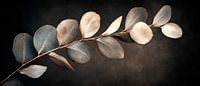 Feuilles tendres dans la lumière
